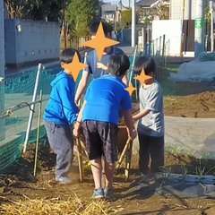 穴掘り2 穴掘り2